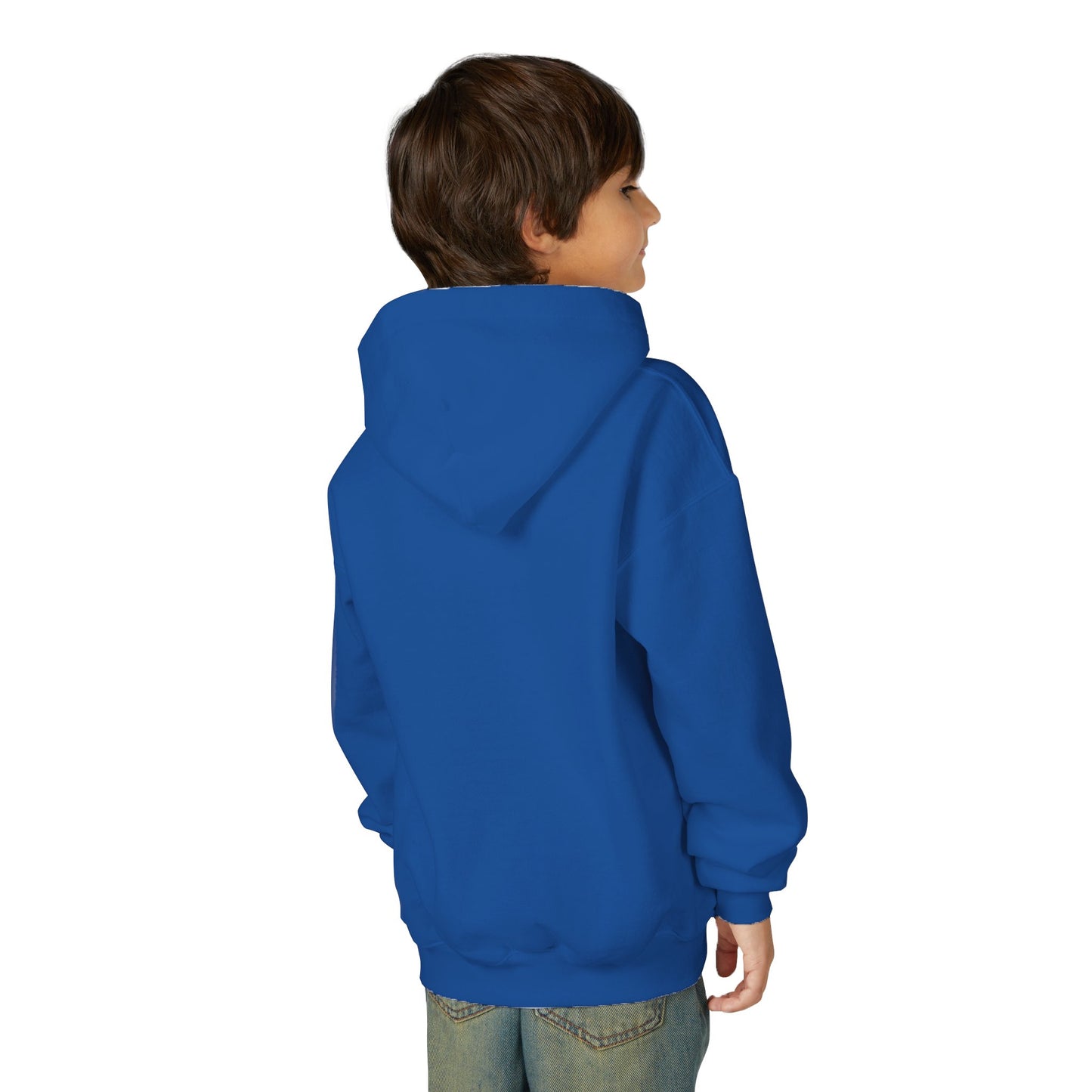 Youth GO Dolphins Hoodie - Gildan