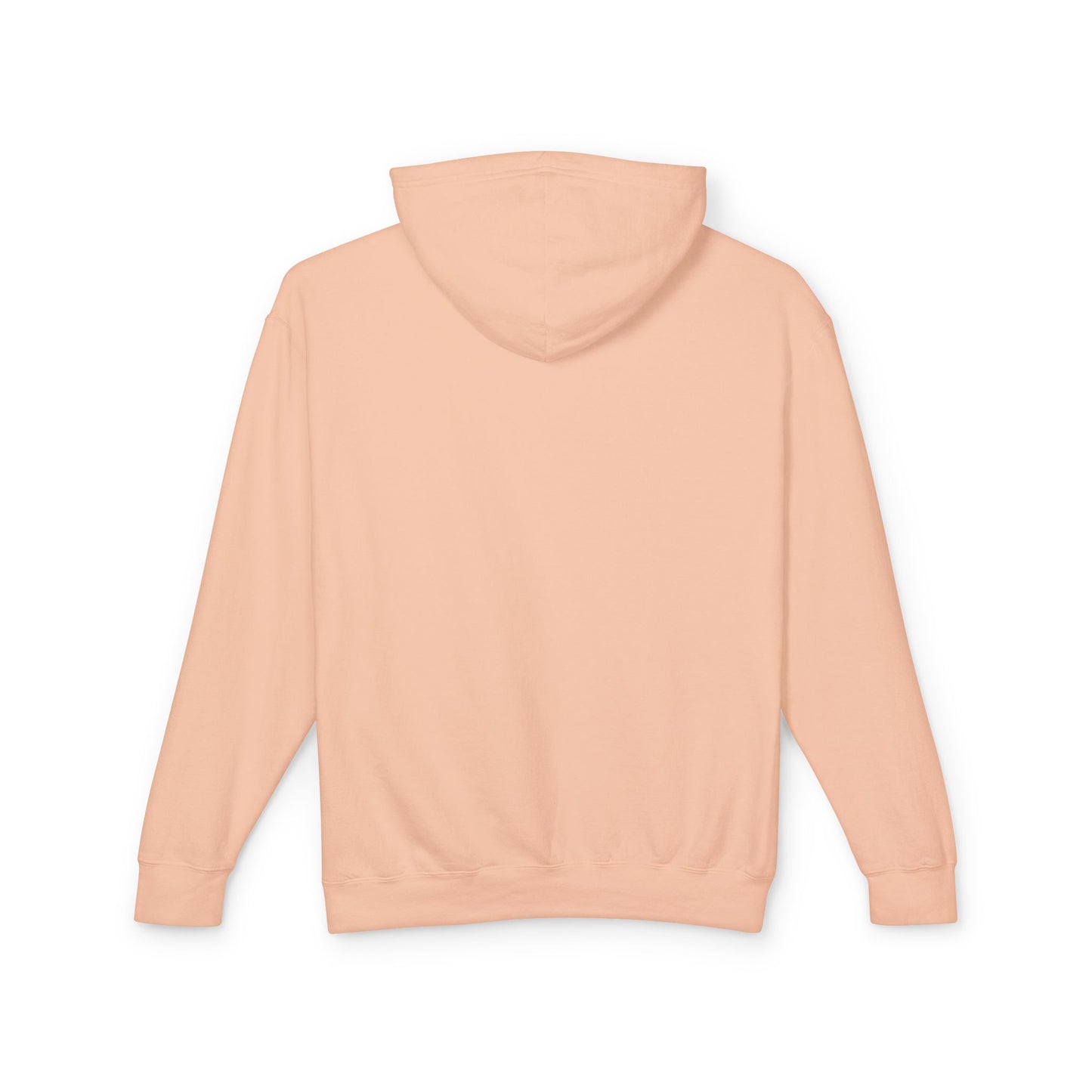 Adult Life of a Dolphin Faux Glitter Hoodie - Comfort Colors