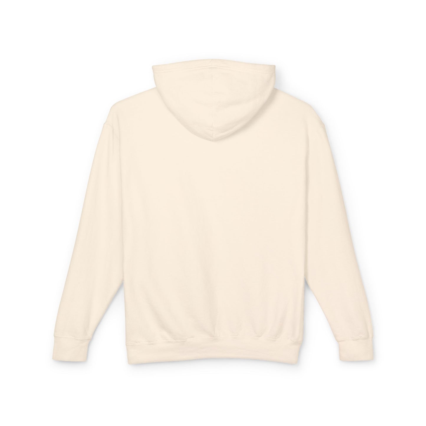 Adult Life of a Dolphin Faux Glitter Hoodie - Comfort Colors