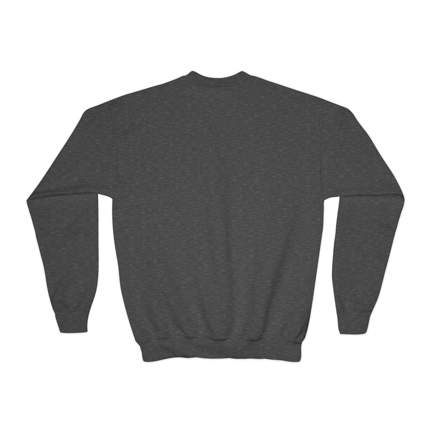 Youth Lions Friday Nights Lights Crewneck Sweatshirt - Gildan