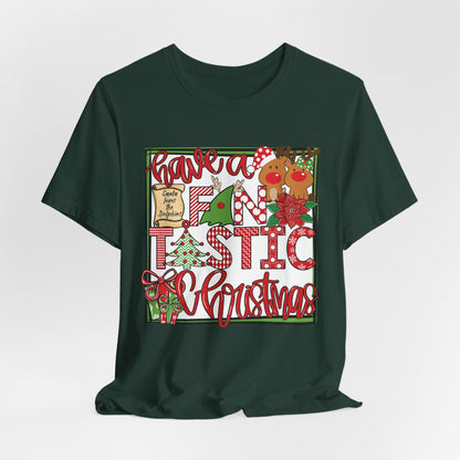 Dolphins Fintastic Christmas - Bella Canvas