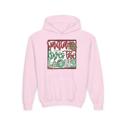 Santa Loves the Lions Hoodie - Gildan