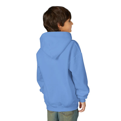 Youth GO Dolphins Hoodie - Gildan