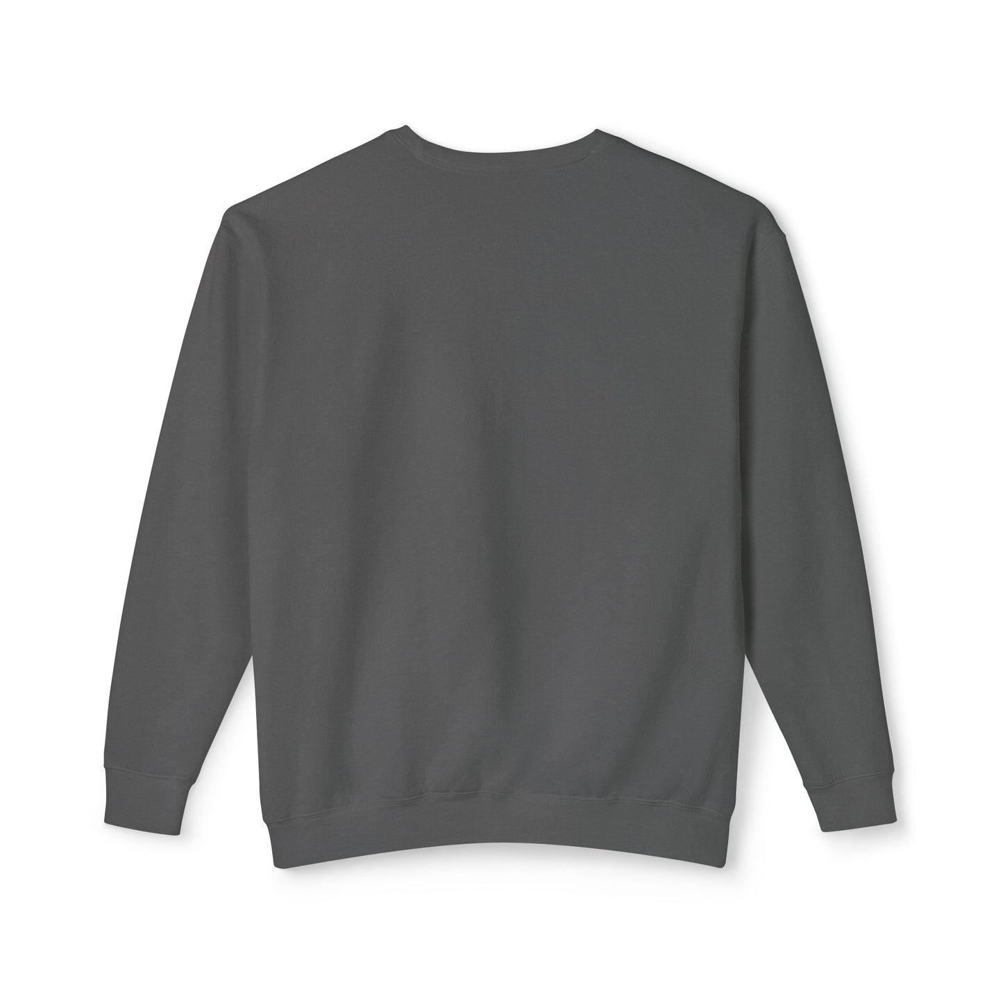 Adult Life of a Dolphin Faux Glitter Sweatshirt - Comfort Colors
