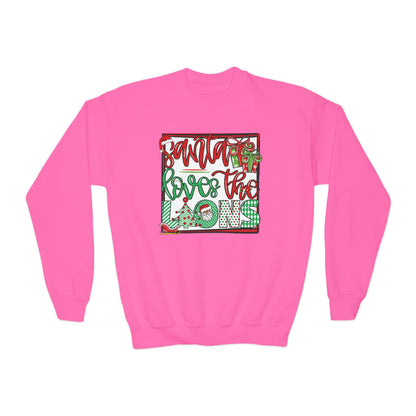 Youth Lions Christmas - Gildan