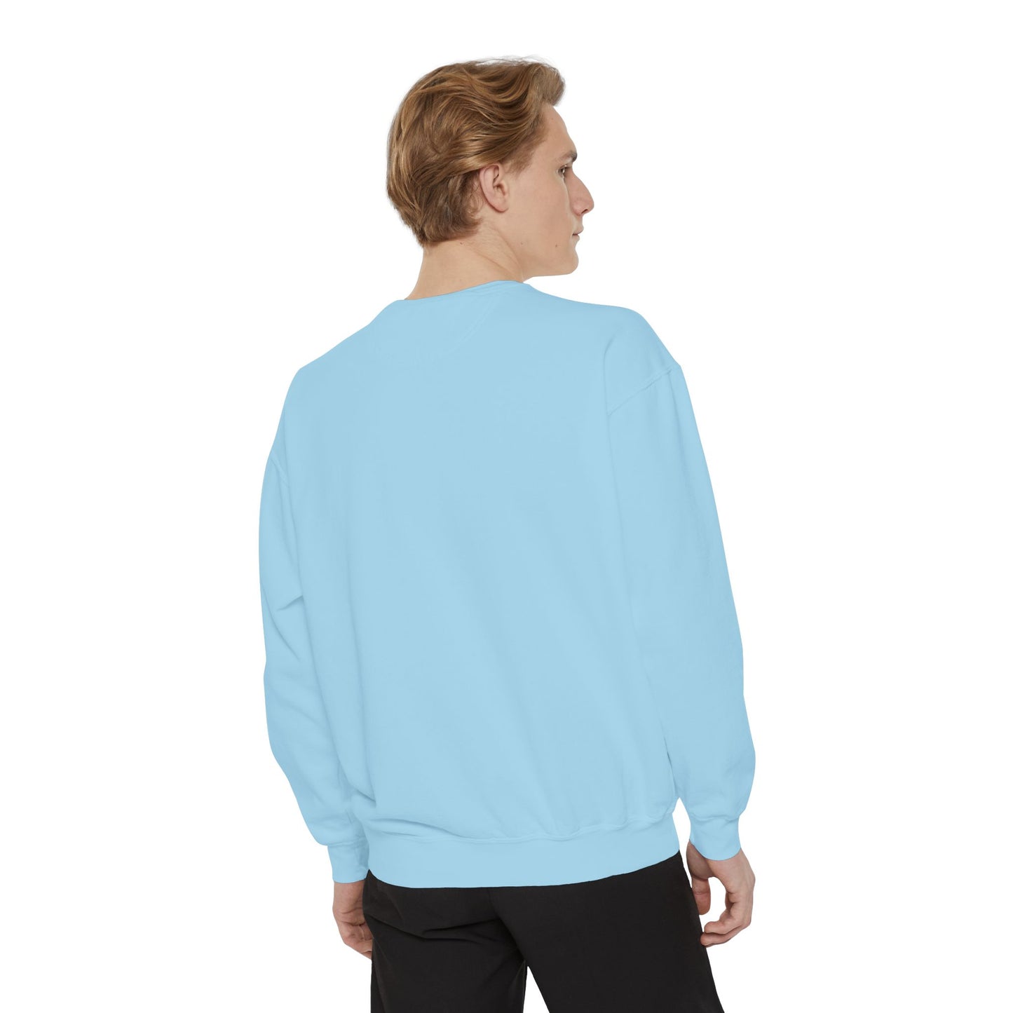 Adult Friday Night Lights Dolphins Sweatshirt - Comfort Colors