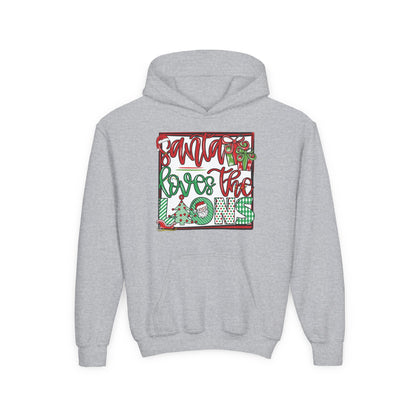 Santa Loves the Lions Hoodie - Gildan
