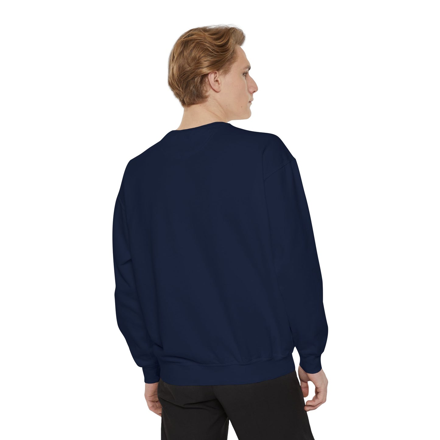 Adult Friday Night Lights Dolphins Sweatshirt - Comfort Colors