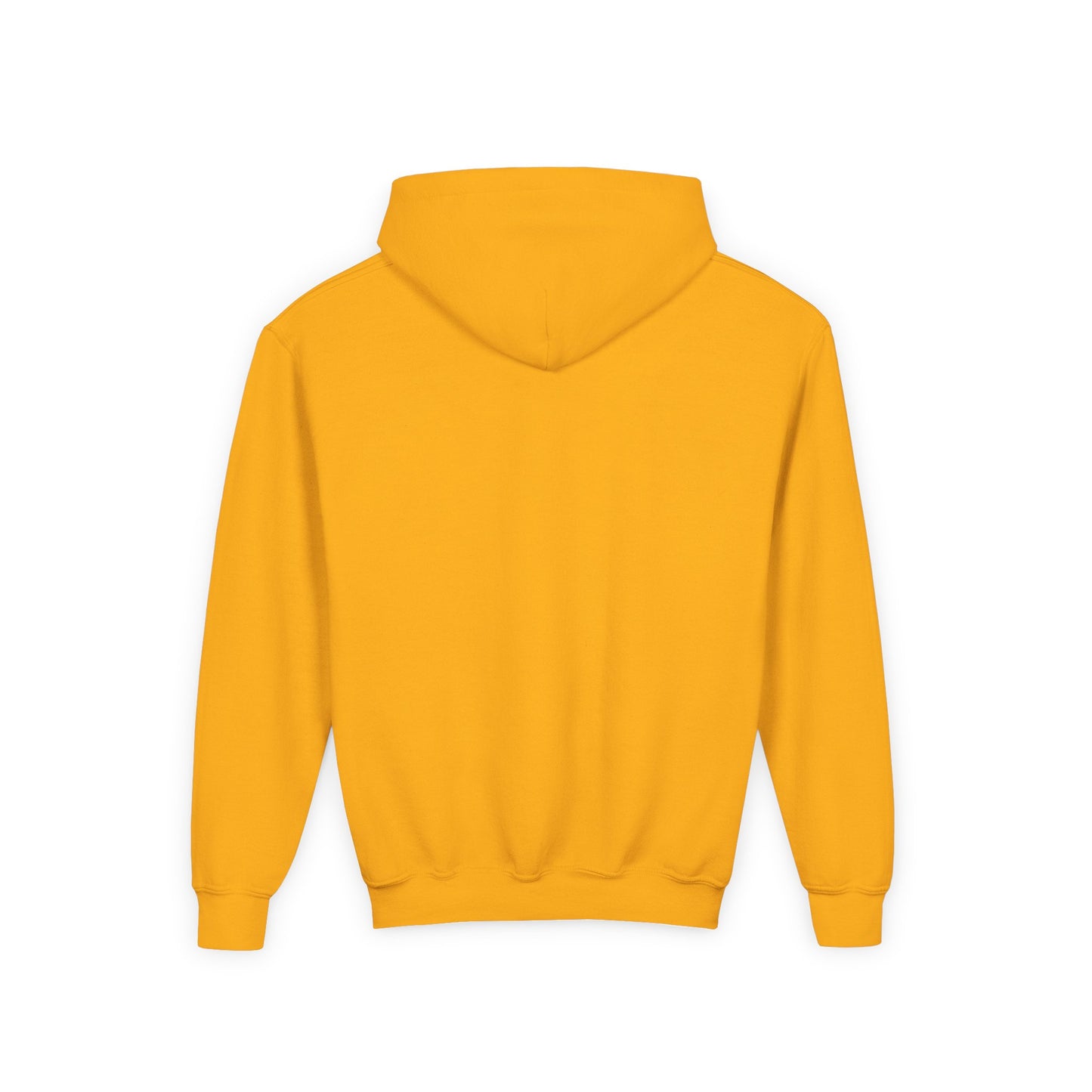 Youth Retro Roaring Lions Hoodie - Gildan