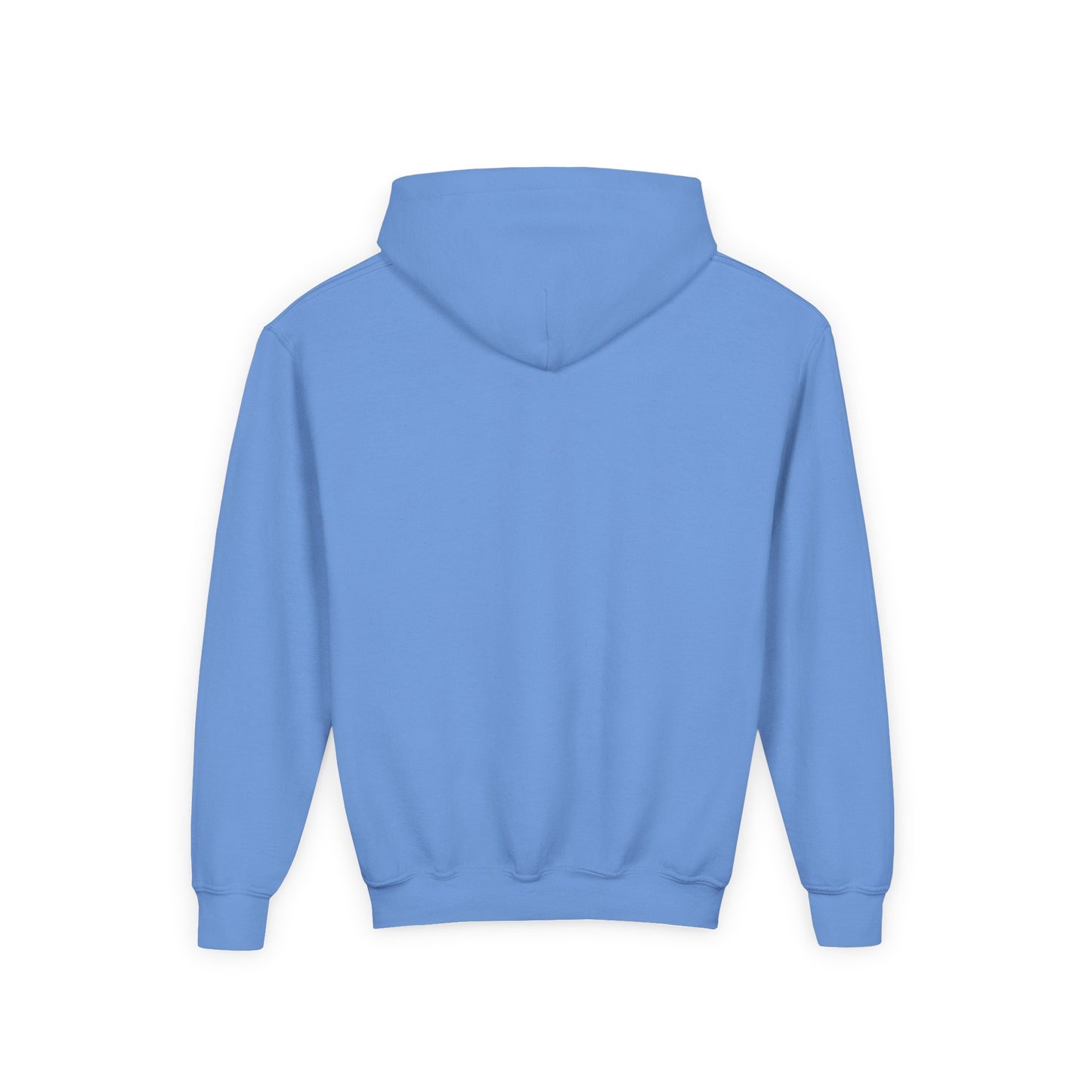 Youth We Are Lions Pennant Hoodie